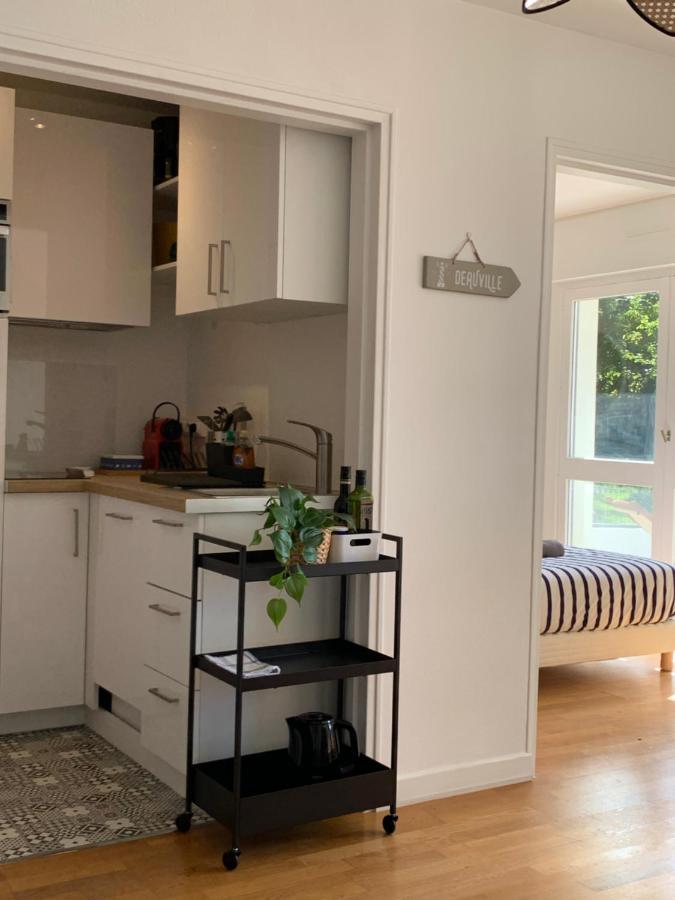 Trouville, Appartement Renove Avec Grande Terrasse Au Calme エクステリア 写真